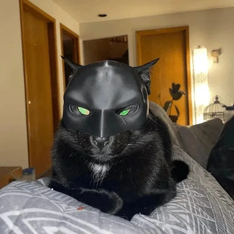 3Dプリント猫アベンジャーマスクバットコスプレ帽子最高品質ペ - 3D Printing Foto のレビューと価格
